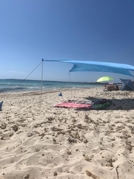Casa * La Marina